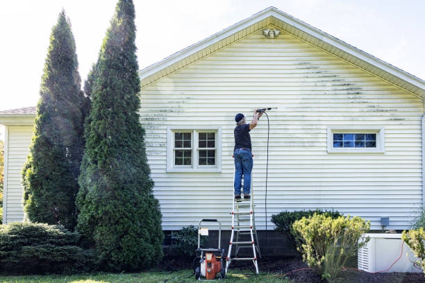 Best Driveway Pressure Washing  in Turley, OK